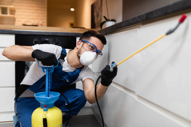  London, KY Pest Control Pros