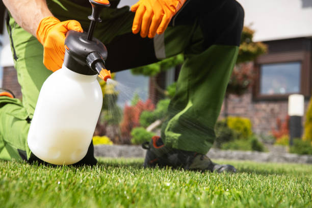 Best Ant Control Services  in London, KY