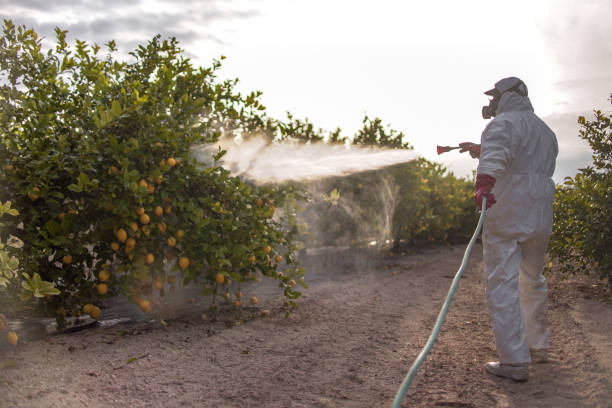 Best Pest Control for Restaurants  in London, KY