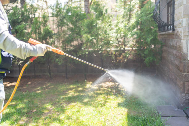 Pest Control for Restaurants in London, KY