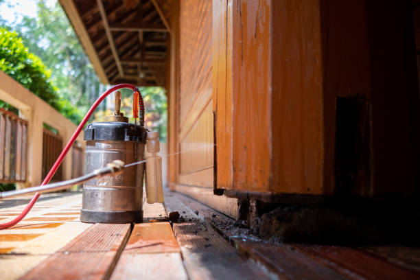 Best Termite Control Services  in London, KY