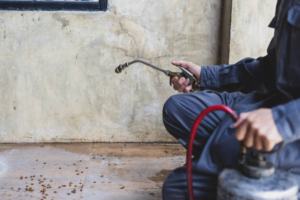 Best Affordable Pest Control Services  in London, KY
