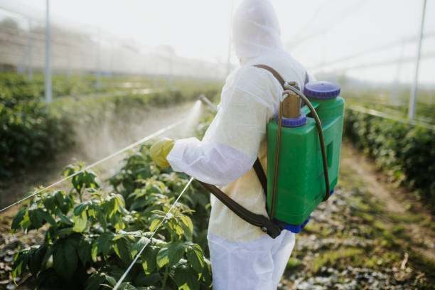 Best Wildlife Control Services  in London, KY